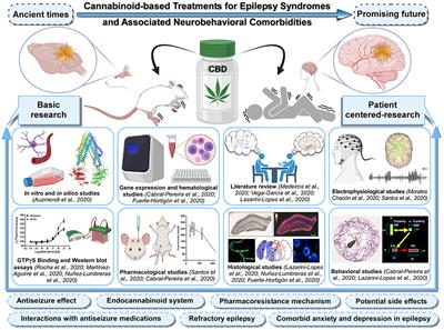 Frontiers | Editorial: Challenges And Conundrums In Cannabinoid-Based ...